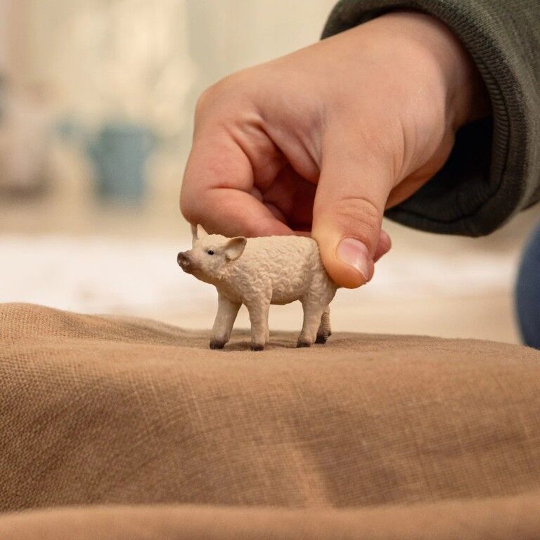 Schleich Mangalica Piglet Toy