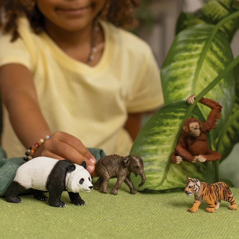 Schleich Wild Life Asia Starter Toy Set