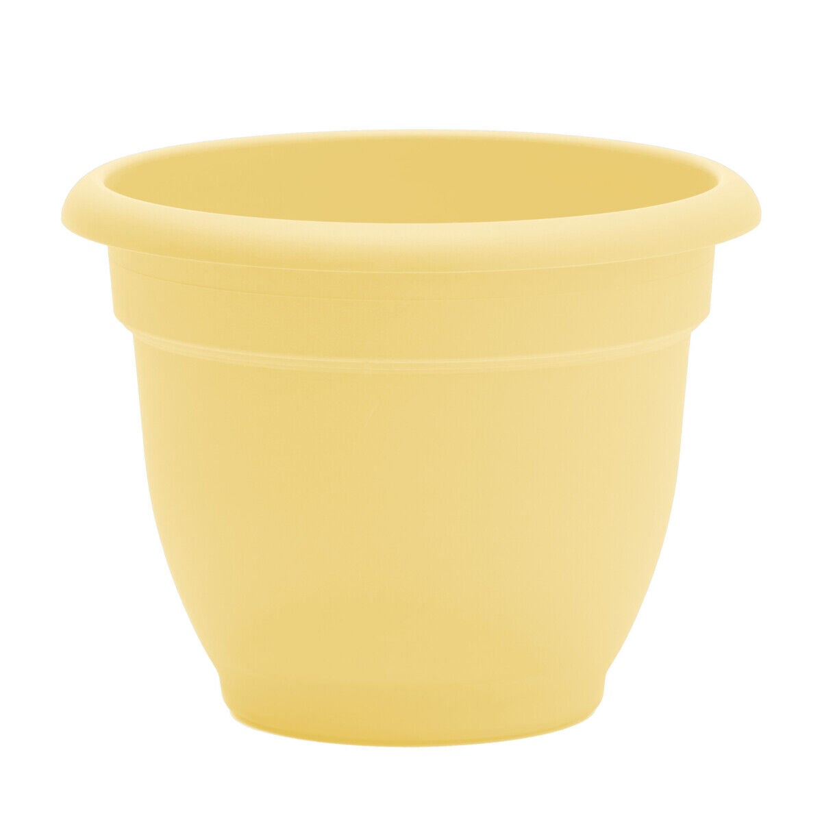 Bloem Daffodil Ariana Planter, 6 in.