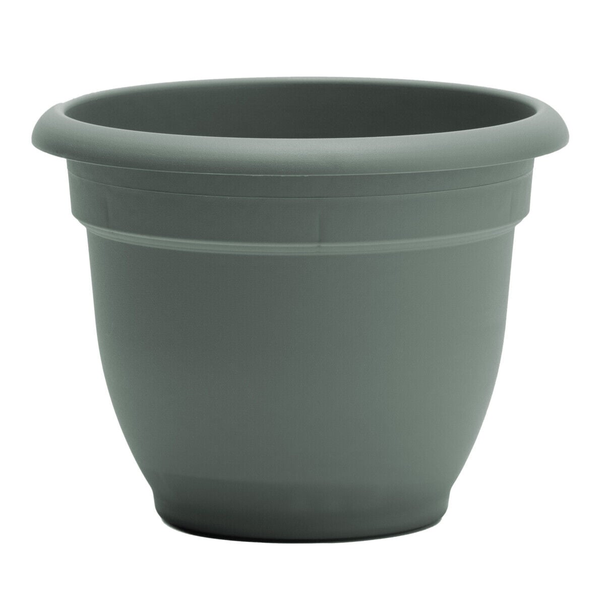 Bloem Basil Ariana Planter, 6 in.