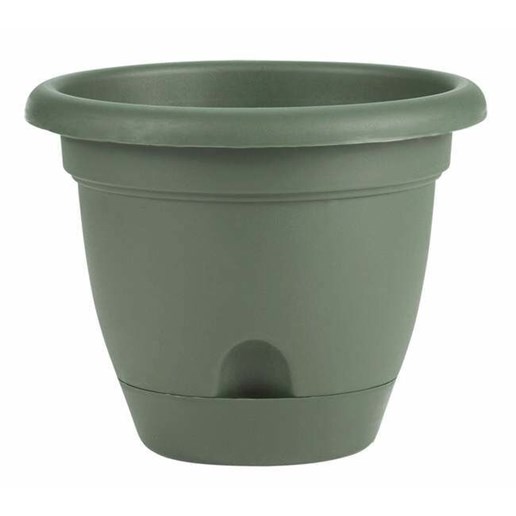 Bloem 6 in Lucca Self Watering Planter With Saucer - Living Green