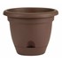 Bloem 6 in Lucca Self Watering Planter With Saucer - Chocolate Brown