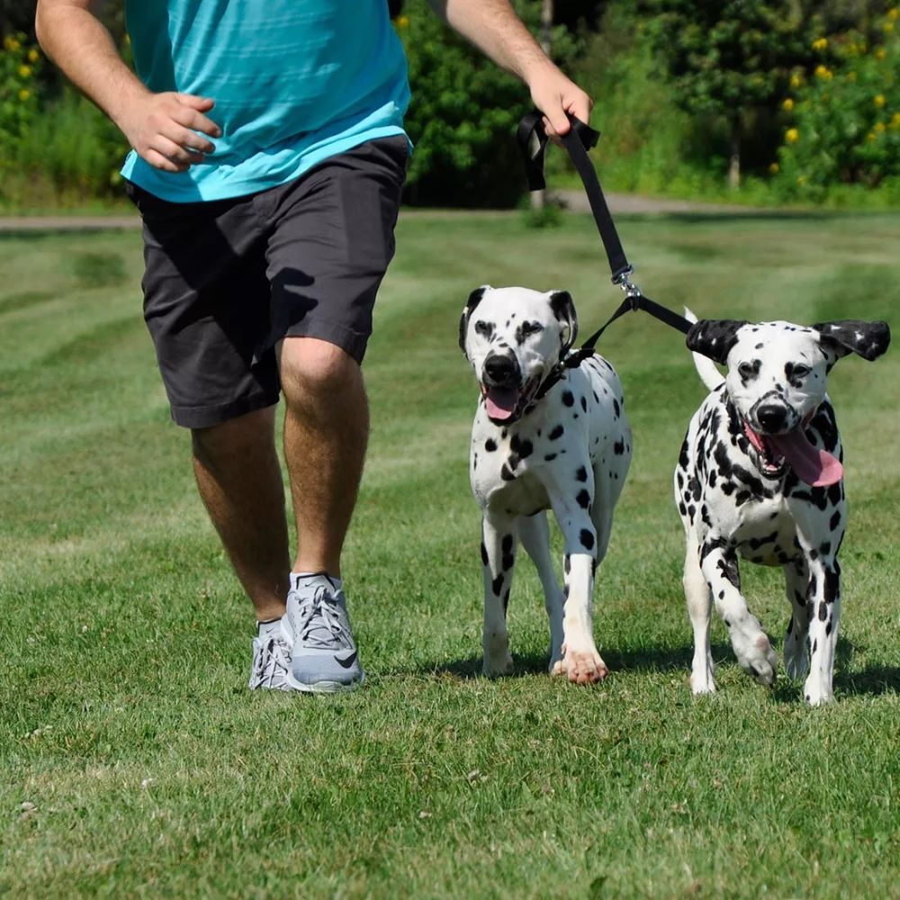 Coastal Pet Products Black 2 Dog Adjustable Coupler, 3/8-In x 24-In - 36-In