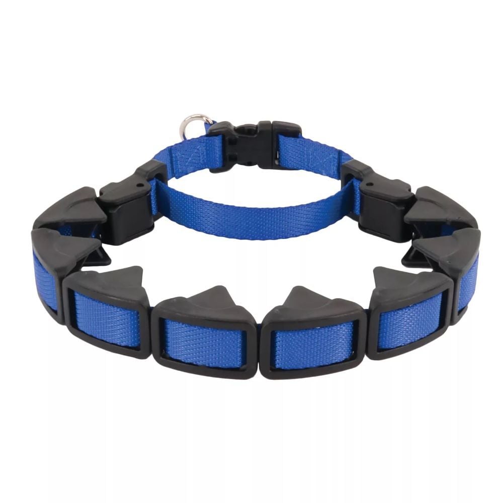 Coastal Pet Products Blue Natural Control Training Collar, 1-In x 22-In