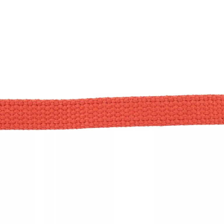 Costal Pet Train Right! Black Cotton Web Dog Training Leash, 10-Ft