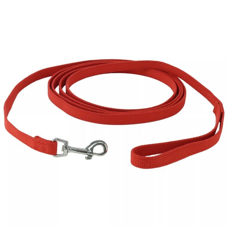 Costal Pet Train Right! Black Cotton Web Dog Training Leash, 10-Ft