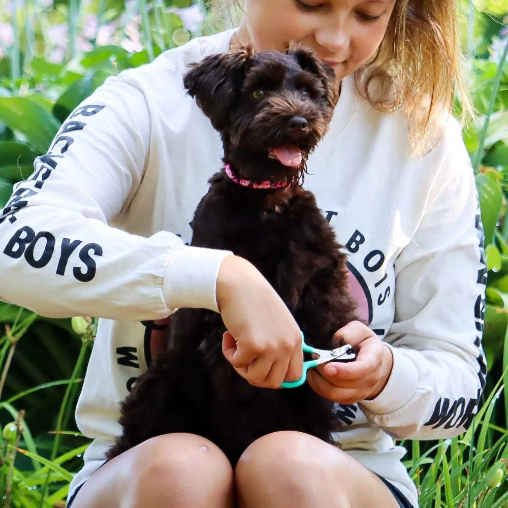 Coastal Pet Products Li'l Pals Dog Nail Trimmer