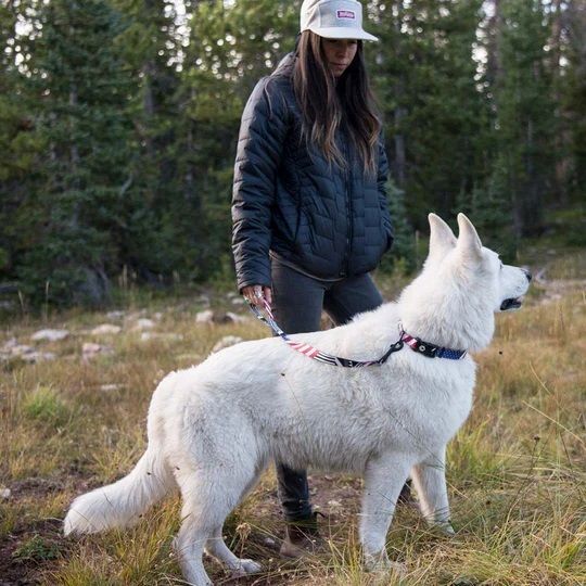 Wolfgang DigitalDog Dog Leash, 5/8-In x 4-Ft