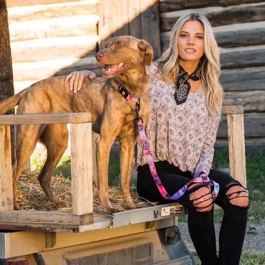 Wolfgang DayDream Dog Leash, 5/8-In x 4-Ft