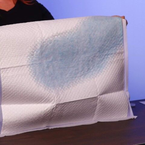 Advance Dog Training Pad With Turbo Dry Technology, 30-Pk