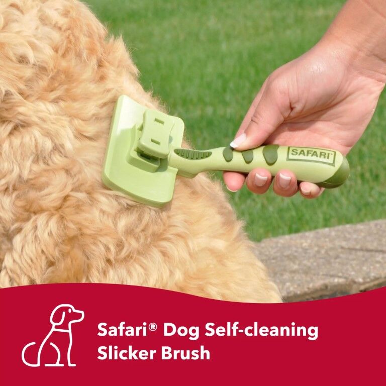 Safari Large Dog Self-Cleaning Slicker Brush