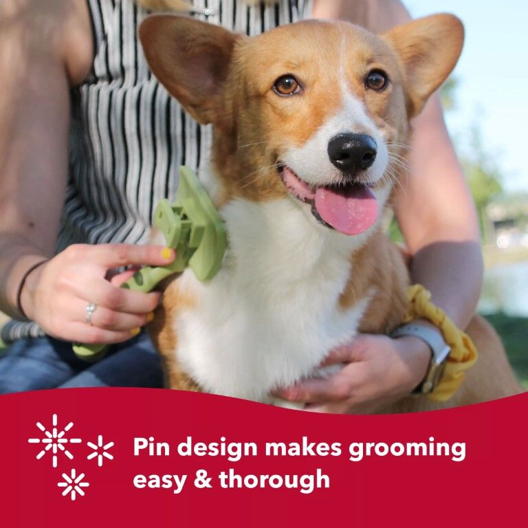 Safari Large Dog Self-Cleaning Slicker Brush