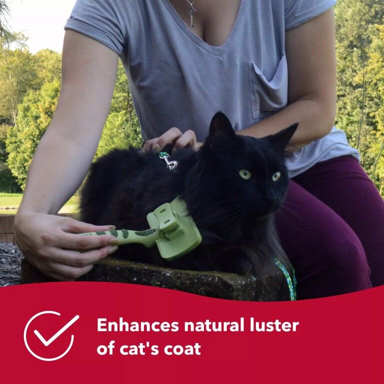 Coastal Pet Products Safari Self-Cleaning Slicker Cat Brush