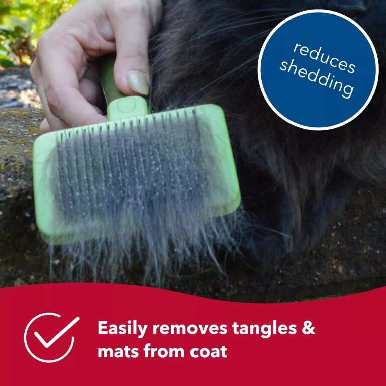 Coastal Pet Products Safari Self-Cleaning Slicker Cat Brush