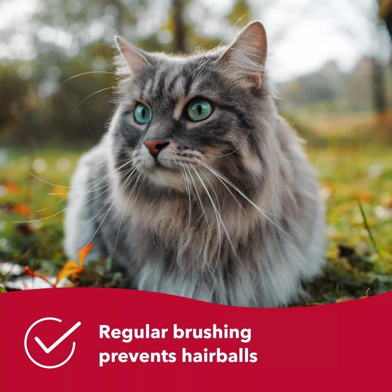 Coastal Pet Products Safari Self-Cleaning Slicker Cat Brush