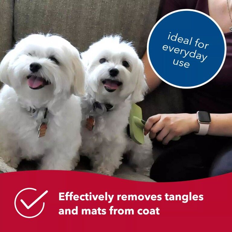 Coastal Pet Products Safari Curved Firm Slicker Dog Brush