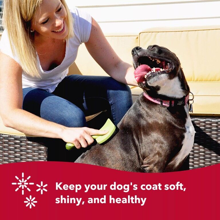 Coastal Pet Products Safari Curved Firm Slicker Dog Brush