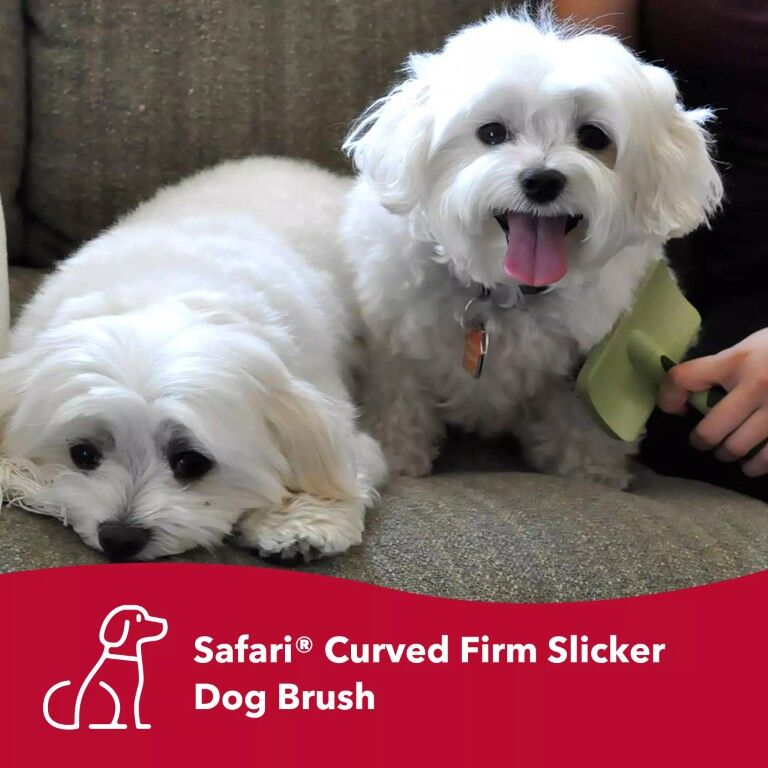 Safari Curved Firm Slicker Medium Dog Brush, 6.75 X 4.25-In