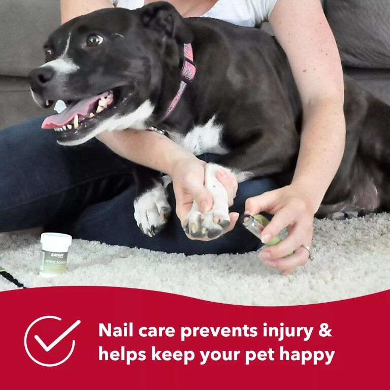 Safari Small Guillotine Dog Nail Trimmer