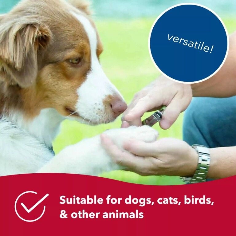 Safari Guillotine Dog Nail Trimmer, 5-In