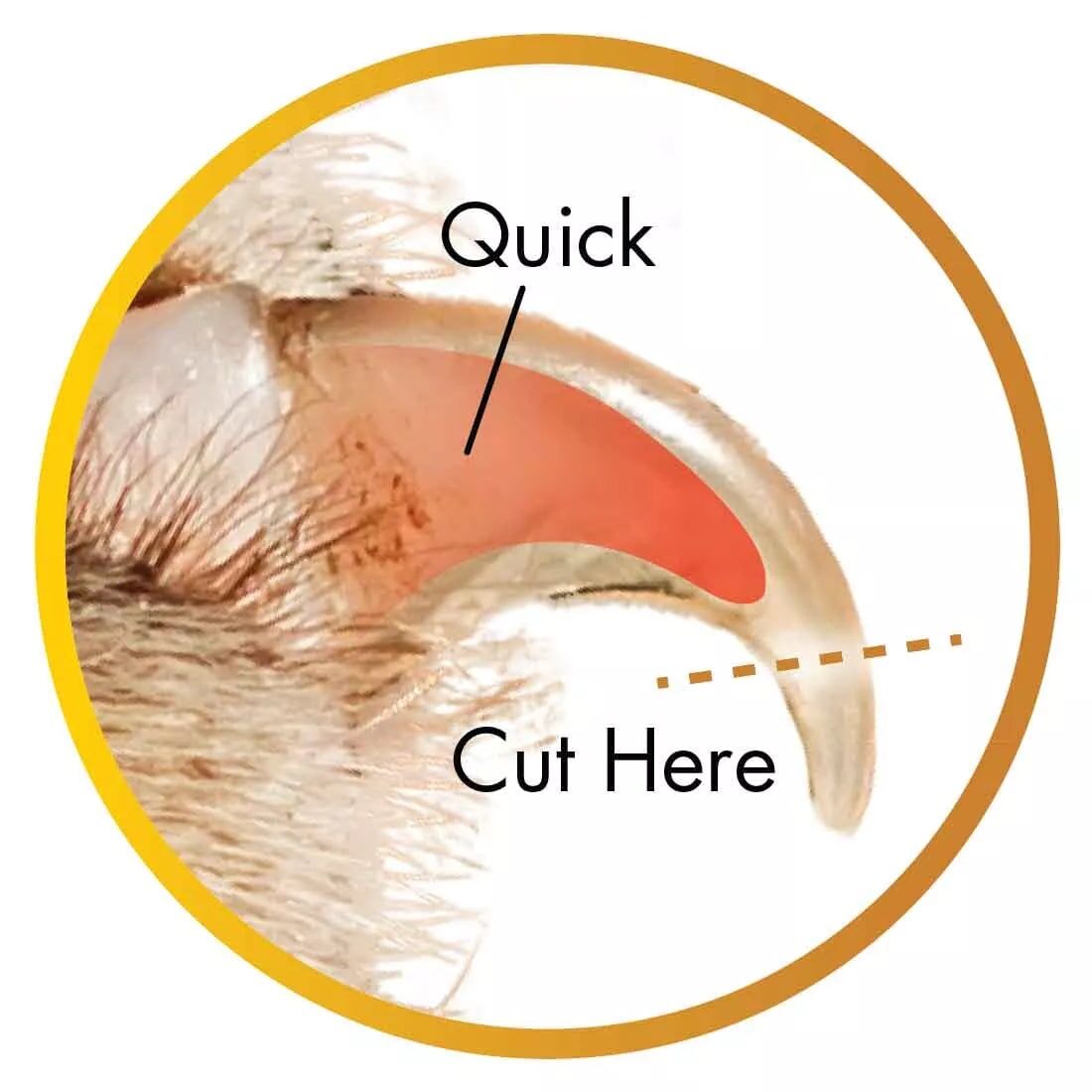 Safari Large Professional Nail Trimmer