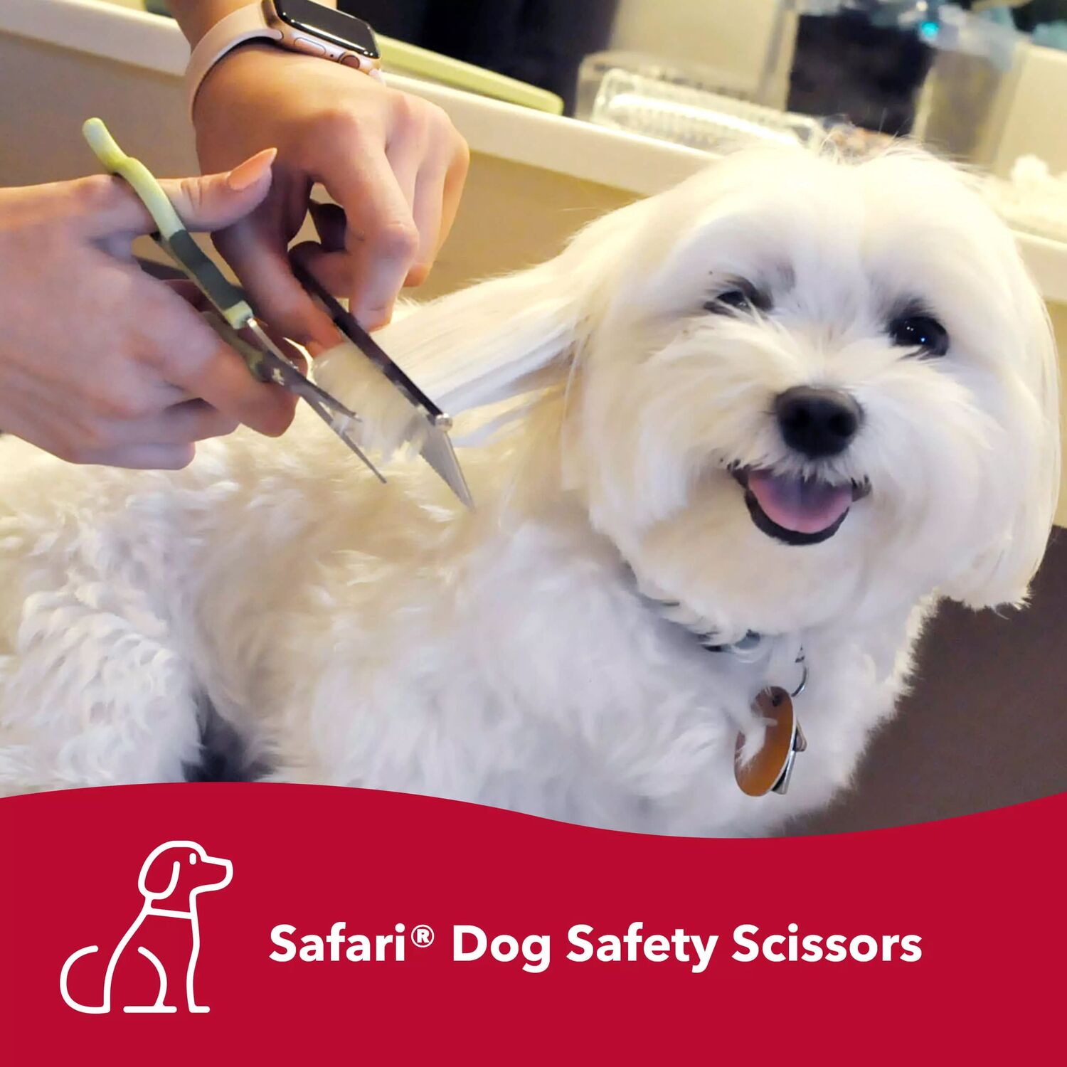 Safari by Coastal Dog Grooming Safety Scissors