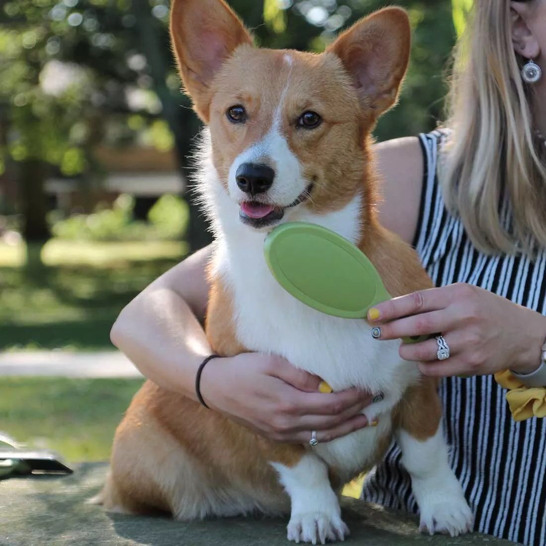 Safari Small Bristle Dog Brush, 8-In