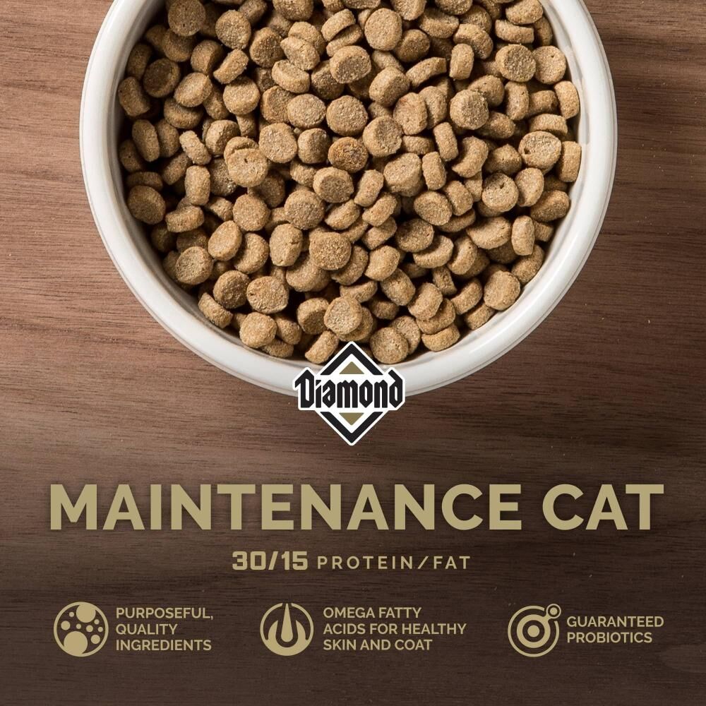 Diamond Maintenance Cat Dry Cat Food, 6-Lb