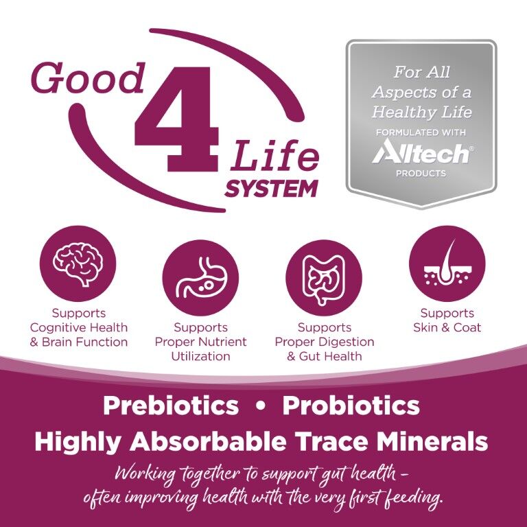 NutriSource Chicken & Rice Recipe Dry Cat & Kitten Food, 4-Lb