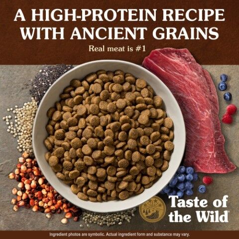 Taste Of The Wild Ancient Prairie With Roasted Bison & Roasted Venison Dog Food, 28-Lb