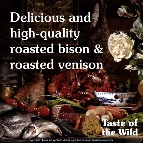 Taste Of The Wild Ancient Prairie With Roasted Bison & Roasted Venison Dog Food, 28-Lb