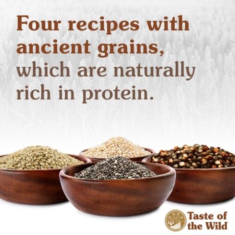 Taste Of The Wild Ancient Prairie With Roasted Bison & Roasted Venison Dog Food, 28-Lb