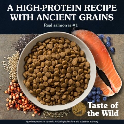 Taste Of The Wild Ancient Stream Canine Recipe With Smoke-Flavored Salmon Dog Food, 28-Lb