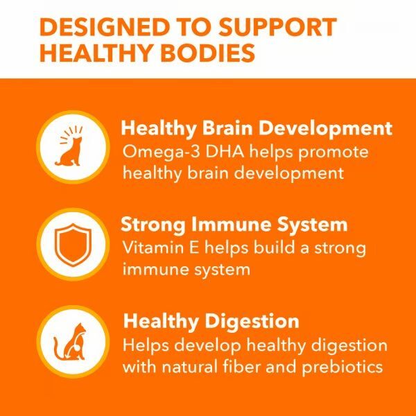 IAMS Proactive Health Healthy Kitten Food, 7-Lb