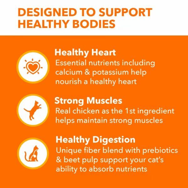 IAMS Proactive Health Healthy Adult with Chicken Cat Food, 7-Lb