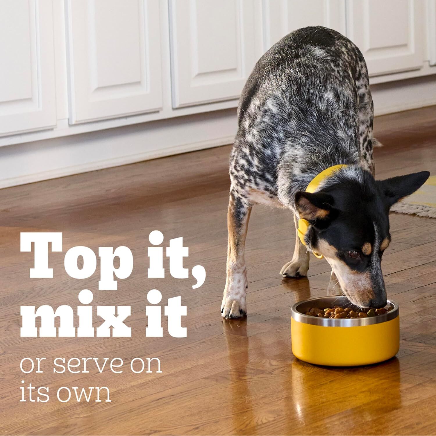 PEDIGREE CHOICE CUTS in Gravy Prime Rib and Roasted Chicken Flavor, 13.2-Oz, 12-Pk