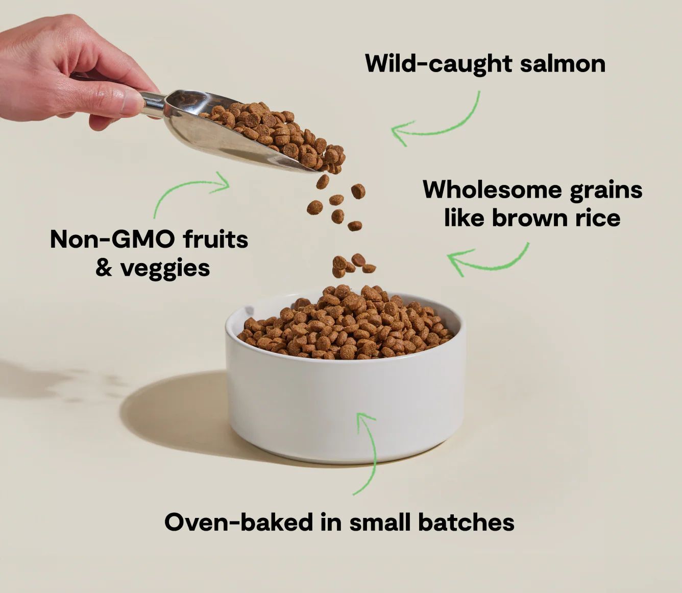 Open Farm Goodbowl Wild-Caught Salmon & Brown Rice Dog Food, 3.5-Lb
