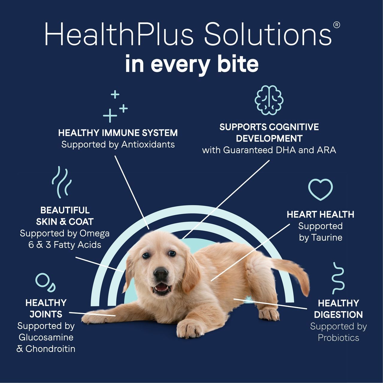 Canidae Pure Grain Free Dry Puppy Food Real Salmon & Sweet Potato, 22-Lb