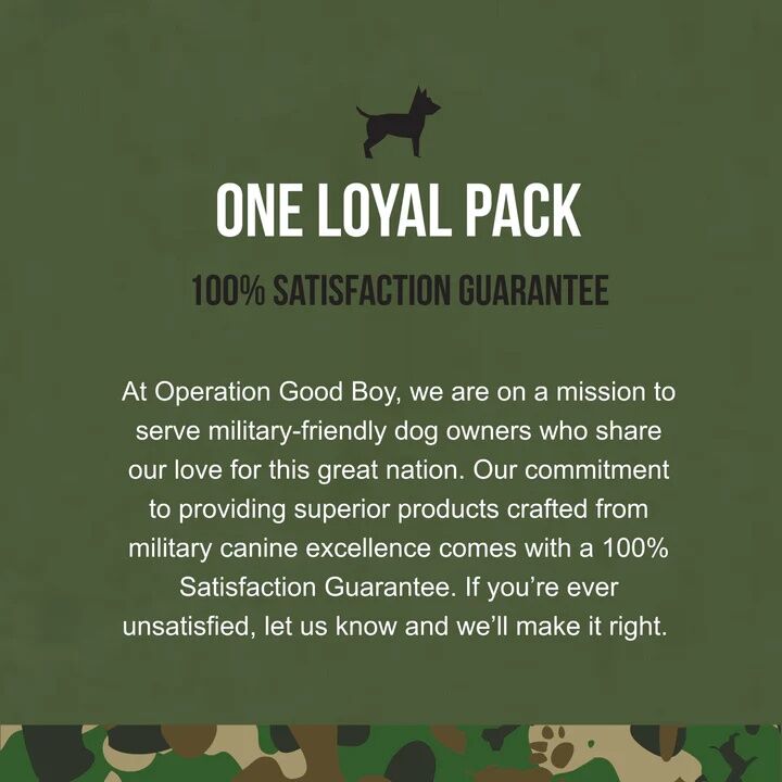 Operation Good Boy SRE: Multi-Function Support Beef Liver Flavor Dog Supplement, 90-Ct
