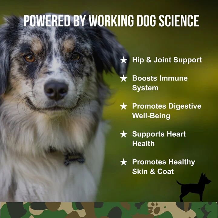 Operation Good Boy SRE: Multi-Function Support Beef Liver Flavor Dog Supplement, 90-Ct
