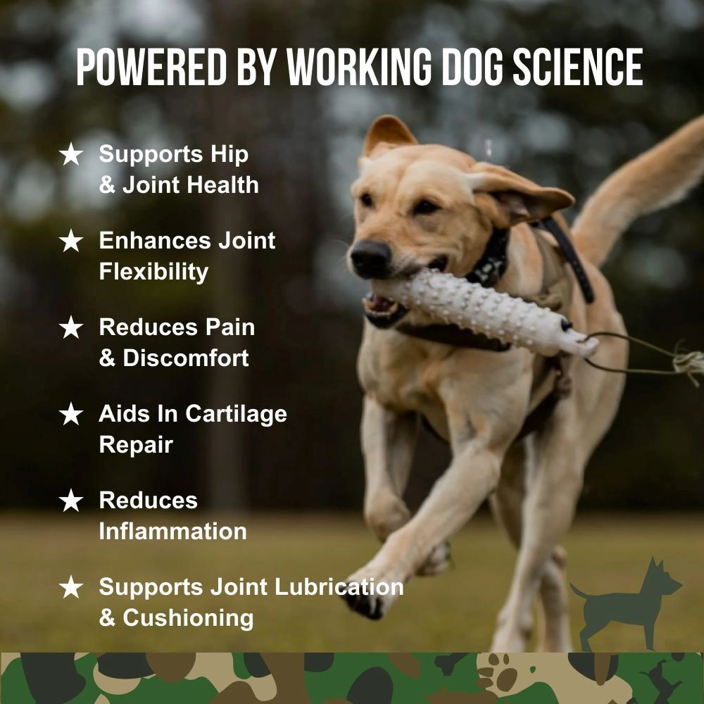 Operation Good Boy SRE: Hip & Joint Dog Supplement, 90-Ct