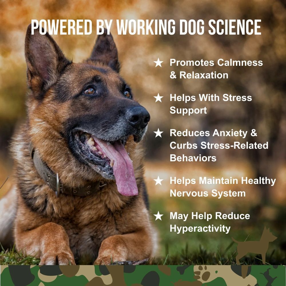 Operation Good Boy SRE: Calming Dog Supplement, 90-Ct