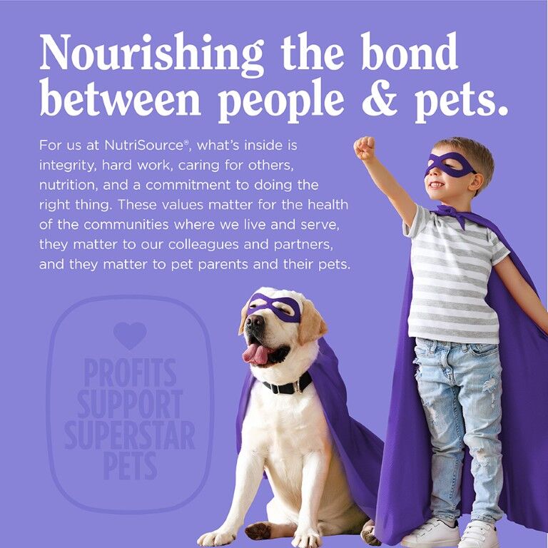 NutriSource AmpliFull Dog Mobility Supplement Soft Chews, 70-Ct
