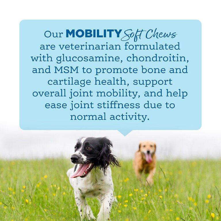 NutriSource AmpliFull Dog Mobility Supplement Soft Chews, 70-Ct