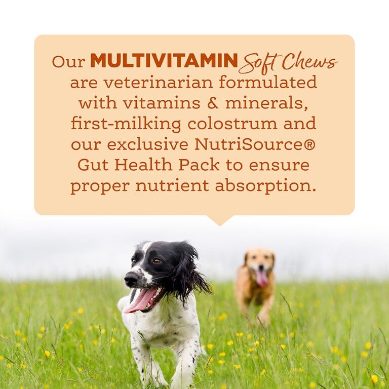 NutriSource AmpliFull Dog Multivitamin Supplement Soft Chews, 70-Ct