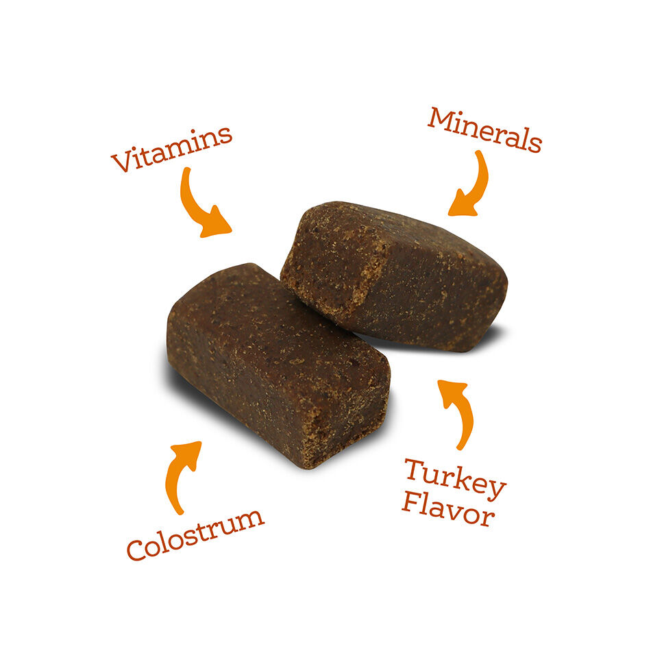 NutriSource AmpliFull Dog Multivitamin Supplement Soft Chews, 70-Ct