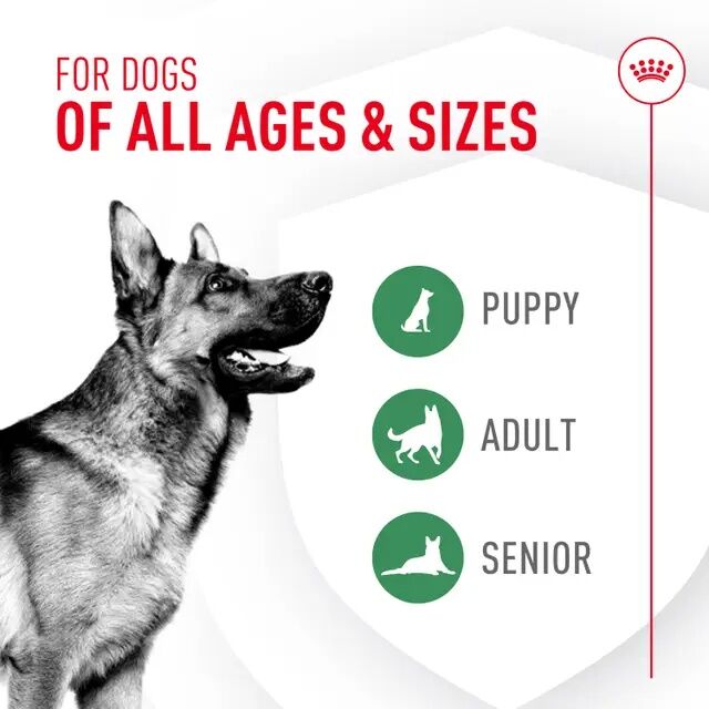 Royal Canin Probiotics For Dogs Digestive And Immune Health Powder Supplement