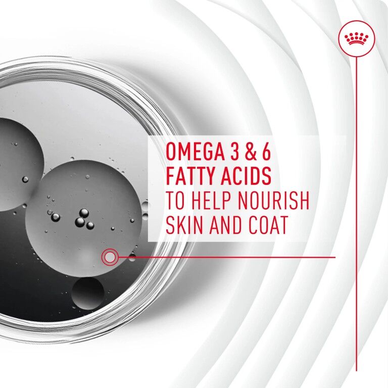 Royal Canin Skin & Coat Supplement Soft Chews For Adult Dogs