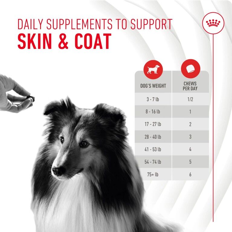 Royal Canin Skin & Coat Supplement Soft Chews For Adult Dogs