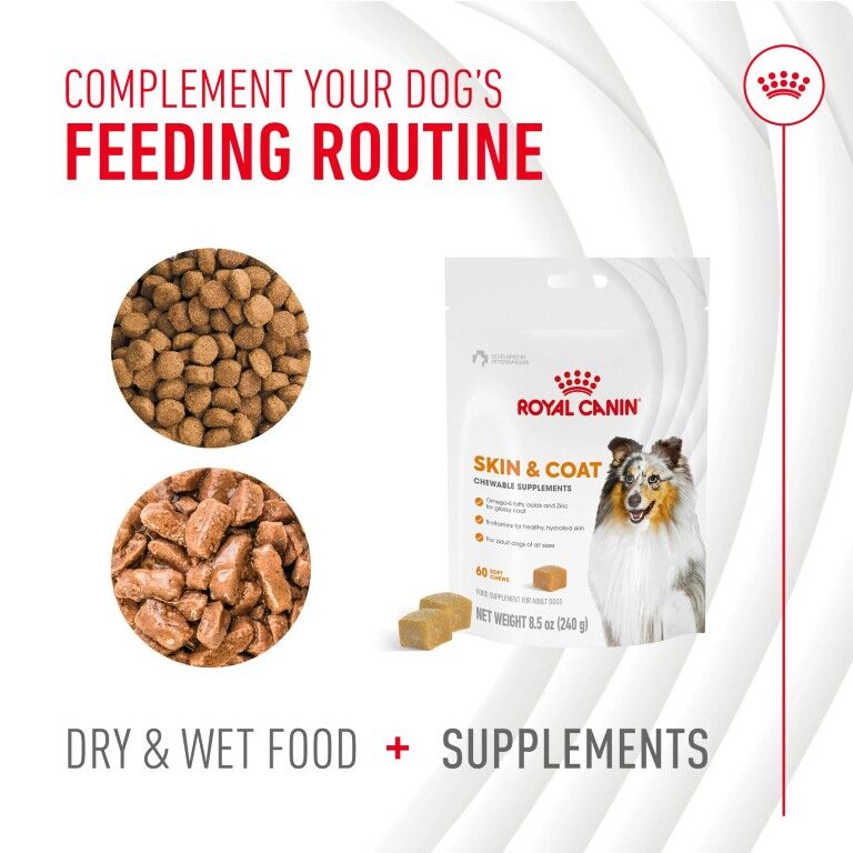 Royal Canin Skin & Coat Supplement Soft Chews For Adult Dogs